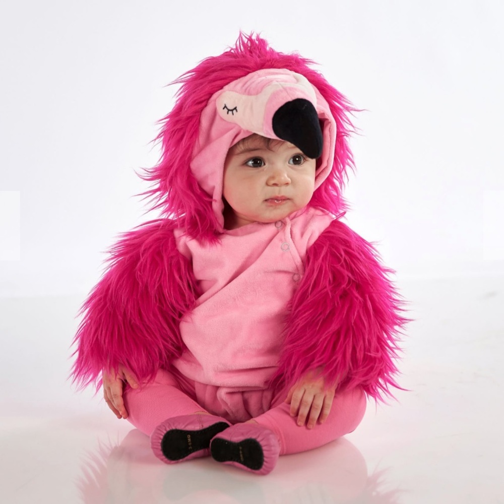 Pottery Barns Kids Flamingo Costume